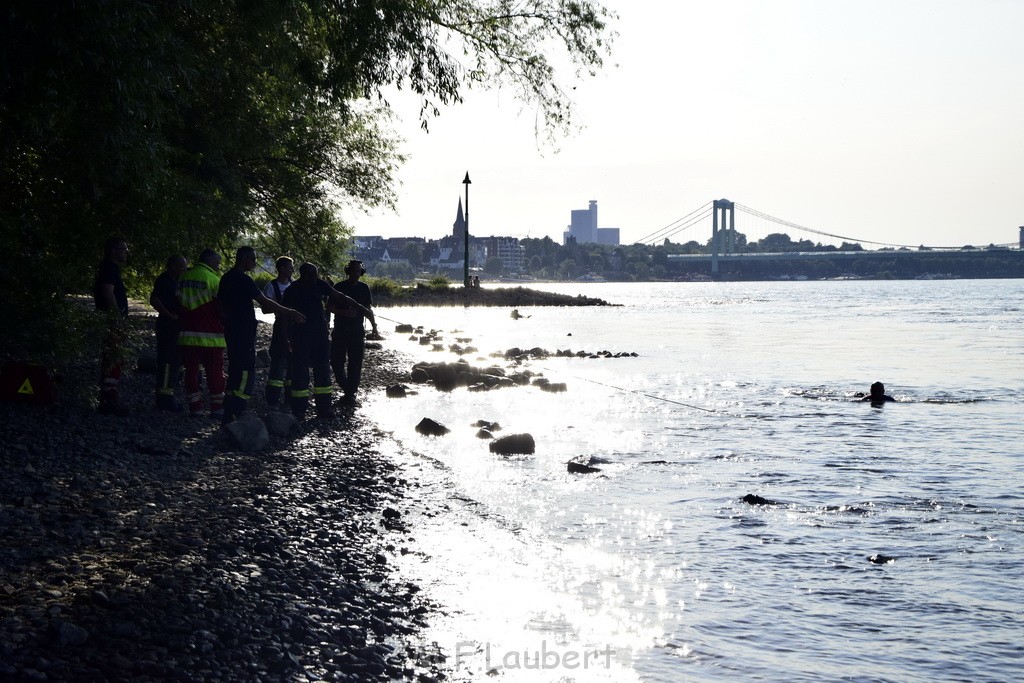 PRhein Koeln Rodenkirchen Uferstr P177.JPG - Miklos Laubert